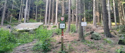 Samaritánka, prameň