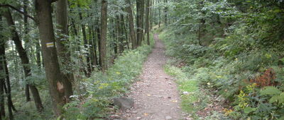 Ustroń, dworzec kolejowy ↔ Ustroń, ul. Doktora Michała Grażyńskiego