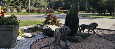 Park im. Tadeusza Kościuszki ↔ Lotnisko Muchowiec [Skrzyżowanie Gawronów i Zgrzebnioka]