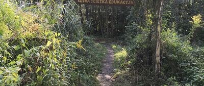 Panewniki ↔ Panewniki, ul. Gościnna [Leśna Ścieżka Edukacyjna]