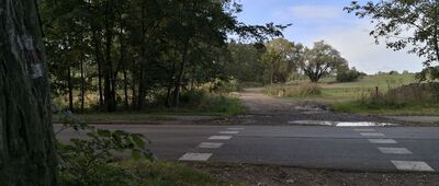 Rozejście szlaków czerwony / czarny ↔ Stara Huta [Mikołowskie pola golfowe]