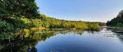 Jezioro Zatorek ↔ Zatorek, parking [Zatorek]