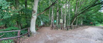 Wisełka, granica parku narodowego [Wejście do lasu]