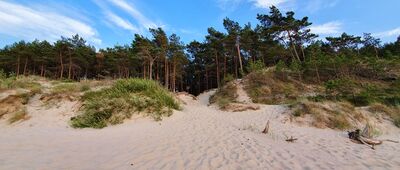 Wisełka, plaża [Wisełka plaża]