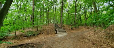 Droga 102, granica parku narodowego [Ścieżka przyrodniczo-historyczna Biała Góra]