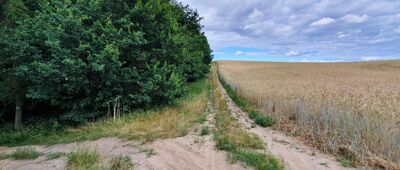 Wolin, osiedle Robotnicze ↔ Dargobądz [Wolin, osiedle Robotnicze ↔ Dargobądz]