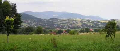 Tymbark, Uchacz [Widok na Pasmo Łososińskie]