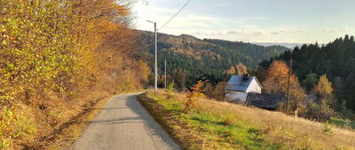 Mogilno, Paszyn ↔ Nowy Sącz, Piątkowa