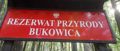 Chrzanów ↔ Bukowica [Bukowica]