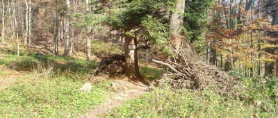 Sedlo Čerešňa, rázc. ↔ Sedlo Čerešňa