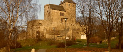 Będzin, zamek [Zamek Będzin, widok.]