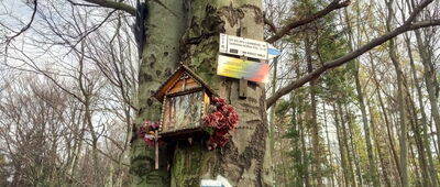 (Była) Polana Beskid