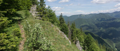 Sedlo Príslop ↔ Kľak, rázc. 