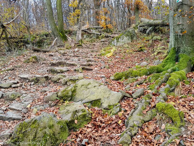 W drodze na Wieżycę
