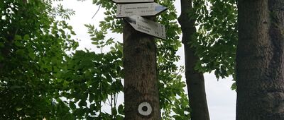 Zawada Lanckorońska