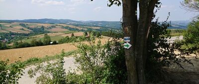 Falkowa, skrzyżowanie szlaków