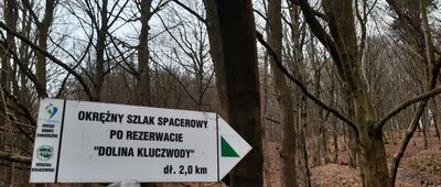 Początek ścieżki spacerowej [Odejście ścieżki przyrodniczej]