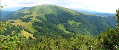 Borišov ↔ Chata pod Borišovom [Ploska - widok z Borišova]