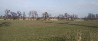 Chudów, Podzamcze ↔ Chudów, ul. Topolowa