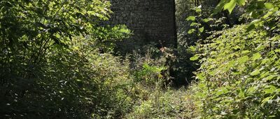 Wapiennik Bordowicza [Wapiennik]