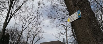 Gołonóg, sanktuarium [Klasztor Franciszkanów i tablica trasy Via Regia]