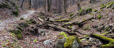 Wąwóz Stradlina ↔ Rezerwat Dolina Racławki [Wąwóz Stradlina]