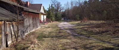 Ostrężnik, rozejście szlaków ↔ Ostrężnik [na szlaku]