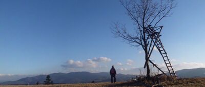 Wojcieszyn ↔ Uniejowice