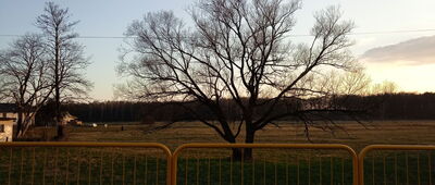 Borowa Wieś, świetlica ↔ Borowa Wieś, kościół