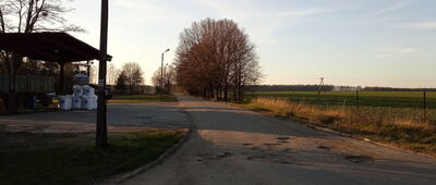 Sierakowice, ul. Polna