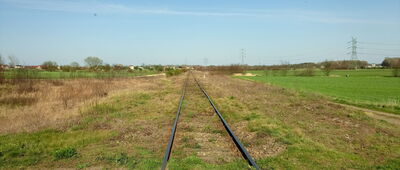 Rozejście szlaków żółty / czarny