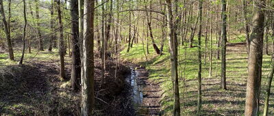 Taciszów, dworzec kolejowy ↔ Taciszów