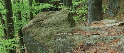 Zapora Leśniańska ↔ Rozejście szlaków niebieski / żółty