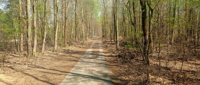 Kochłowice, staw Karp 2 ↔ Kochłowice, staw Karp 1