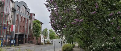 Rybnik, ul. Miejska ↔ Rybnik, dworzec kolejowy [Bez przy budynku sądu]