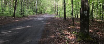 Kapliczka św. Huberta ↔ Kamień, ul. Jodłowa [Rozejście szlaków]