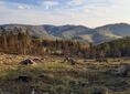 Przełęcz Bukowska ↔ Złota Górka [Beskid Mały - widok na południe ze zboczy Porębskiego Gronia]