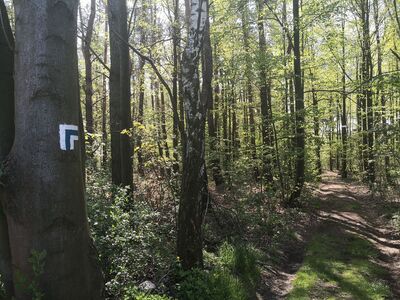 Odejście na boniowicką łąkę