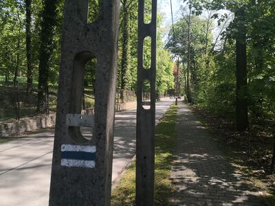 ul. Polna w Kamieńcu