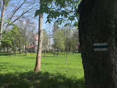 Kościół w Kamieńću