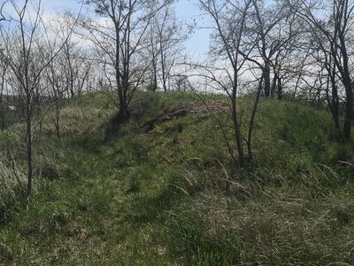 Bunkier Pozycji Górnośląskiej Zbrosławice