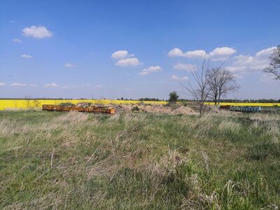 Przy szlaku jest mnóstwo rzepaku i uli