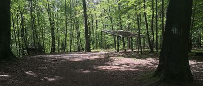 Rozejście szlaków niebieski / żółty [Rozejście szlaków]