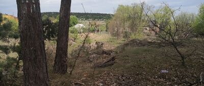 Bory, ul. Podgórska [Grodzisko od ul. Podgórskiej]