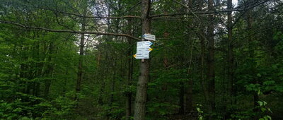 Suliszowice, rozejście szlaków