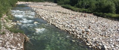 Brzegi ↔ Jurgów [Rzeka Białka]