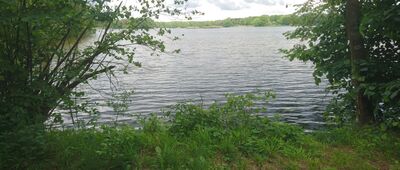 Studzianki ↔ Staw Górny [Staw Górny]