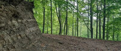 Flisz karpacki nad Wołkiem [Beskid Mały - niebieskim szlakiem z Kóz do Porąbki]