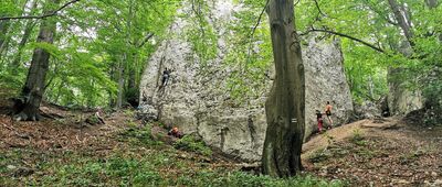 Januszkowa Szczelina [Januszkowa Góra]