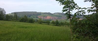 Rozdroże nad Świerkami ↔ Rozdroże pod Włodzicką Górą [Widok ze szlaku - Czerwiec 2020]